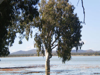 Lake Elphinstone